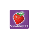 StrawberryNET.com Logo